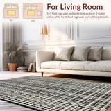 Ultra Soft Area Rug, Non Slip, Stain Resistant, Washable Area Rugs for Living Room, Bedroom, Monochrome Linear Weave Rug Featuring Bold Stripes and Sleek Modern Contrast(White)
