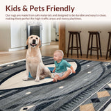 Ultra Soft Area Rug, Non Slip, Stain Resistant, Washable Area Rugs for Living Room, Bedroom, Chic Rustic Textured Tassel Design(Gray)