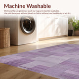 Ultra Soft Area Rug, Non Slip, Stain Resistant, Washable Area Rugs for Living Room, Bedroom, Trendy Mauve Monochromatic Visual Harmony(Purple)