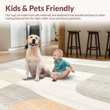 Ultra Soft Area Rug, Non Slip, Stain Resistant, Washable Area Rugs for Living Room, Bedroom, & Neutral(Beige)