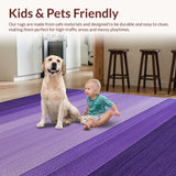 Ultra Soft Area Rug, Non Slip, Stain Resistant, Washable Area Rugs for Living Room, Bedroom, Elegant Modern Fluffy Design(Purple)