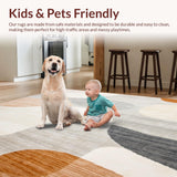 Ultra Soft Area Rug, Non Slip, Stain Resistant, Washable Area Rugs for Living Room, Bedroom, Neutral Accent(Beige)