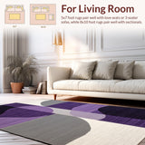 Ultra Soft Area Rug, Non Slip, Stain Resistant, Washable Area Rugs for Living Room, Bedroom, Trendy Transitional Comfort Design(Purple)
