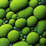 Ultra Soft Area Rug, Non Slip, Stain Resistant, Washable Area Rugs for Living Room, Bedroom, Colorful Spring Moss Playroom Washable Carpet(Green)