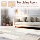Ultra Soft Area Rug, Non Slip, Stain Resistant, Washable Area Rugs for Living Room, Bedroom, Floor Subtle Abstract Design Beige Grey Tones Large(Beige)
