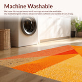 Ultra Soft Area Rug, Non Slip, Stain Resistant, Washable Area Rugs for Living Room, Bedroom, Fringed Vibrant Area Rug for Home Office(Orange)