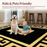 Ultra Soft Area Rug, Non Slip, Stain Resistant, Washable Area Rugs for Living Room, Bedroom, Chic Modern Abstract Motif(Black)