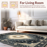 Ultra Soft Area Rug, Non Slip, Stain Resistant, Washable Area Rugs for Living Room, Bedroom, Artful Esoteric Starry Composition(Gray)