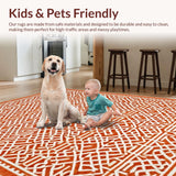 Ultra Soft Area Rug, Non Slip, Stain Resistant, Washable Area Rugs for Living Room, Bedroom, Classic Vivid Living Room Non-Slip Area Rug(Orange)