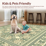 Ultra Soft Area Rug, Non Slip, Stain Resistant, Washable Area Rugs for Living Room, Bedroom, Ambel Natural Area(Beige)