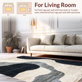 Ultra Soft Area Rug, Non Slip, Stain Resistant, Washable Area Rugs for Living Room, Bedroom, Global-Inspired Ivory Black Living Room Stain-Resistant Rug(Beige)