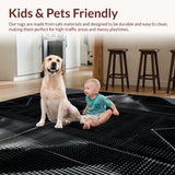 Ultra Soft Area Rug, Non Slip, Stain Resistant, Washable Area Rugs for Living Room, Bedroom, Sleek Abstract Linear Arrangement(Black)