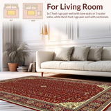 Ultra Soft Area Rug, Non Slip, Stain Resistant, Washable Area Rugs for Living Room, Bedroom, Striking Modern Distressed Design(Red)