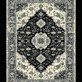 Ultra Soft Area Rug, Non Slip, Stain Resistant, Washable Area Rugs for Living Room, Bedroom, Oriental Distressed Black Ivory Living Room Rug(Black)