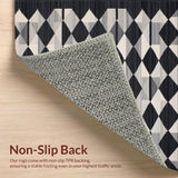 Ultra Soft Area Rug, Non Slip, Stain Resistant, Washable Area Rugs for Living Room, Bedroom, Elegant Abstract Patterned Entrance Mat(Black)