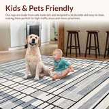 Ultra Soft Area Rug, Non Slip, Stain Resistant, Washable Area Rugs for Living Room, Bedroom, Elegant Subtle Diamond Configuration(Gray)