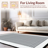 Ultra Soft Area Rug, Non Slip, Stain Resistant, Washable Area Rugs for Living Room, Bedroom, Chic Monochrome Geometric Aesthetic(Gray)