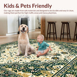 Ultra Soft Area Rug, Non Slip, Stain Resistant, Washable Area Rugs for Living Room, Bedroom, Lightweight Boho Area(Green)