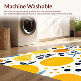 Ultra Soft Area Rug, Non Slip, Stain Resistant, Washable Area Rugs for Living Room, Bedroom, Delightful Fresh Fruit Design Elements(Orange)