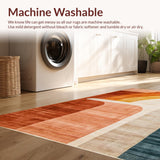 Ultra Soft Area Rug, Non Slip, Stain Resistant, Washable Area Rugs for Living Room, Bedroom, Terracotta Abstract Rainbow Motif(Brown)