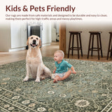 Ultra Soft Area Rug, Non Slip, Stain Resistant, Washable Area Rugs for Living Room, Bedroom, Distressed Dark Green Living Room Boho Rug(Gray)