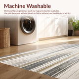 Ultra Soft Area Rug, Non Slip, Stain Resistant, Washable Area Rugs for Living Room, Bedroom, Indoor Entrance Non Slip Small Door Mat(Gray)