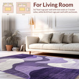 Ultra Soft Area Rug, Non Slip, Stain Resistant, Washable Area Rugs for Living Room, Bedroom, Vibrant Modern Ombre Design(Purple)