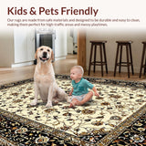Ultra Soft Area Rug, Non Slip, Stain Resistant, Washable Area Rugs for Living Room, Bedroom, Elegant Rustic Floral Medallion(Ivory)
