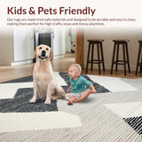 Ultra Soft Area Rug, Non Slip, Stain Resistant, Washable Area Rugs for Living Room, Bedroom, Sleek Abstract Gray Tones Design(Black)