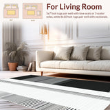 Ultra Soft Area Rug, Non Slip, Stain Resistant, Washable Area Rugs for Living Room, Bedroom, Coastal Charm: Contemporary Black & White Striped Indoor Outdoor Rug(Black)