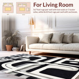 Ultra Soft Area Rug, Non Slip, Stain Resistant, Washable Area Rugs for Living Room, Bedroom, Abstract Black & White Rug Stripe Illusion(Gray)