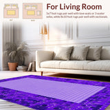 Ultra Soft Area Rug, Non Slip, Stain Resistant, Washable Area Rugs for Living Room, Bedroom, Soft Plush Modern Elegance(Purple)