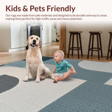 Ultra Soft Area Rug, Non Slip, Stain Resistant, Washable Area Rugs for Living Room, Bedroom, Minimalist Thin Grey Rug for Office and Entryway(Gray)