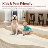 Ultra Soft Area Rug, Non Slip, Stain Resistant, Washable Area Rugs for Living Room, Bedroom, Faux Fur Runner(Beige)