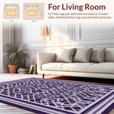 Ultra Soft Area Rug, Non Slip, Stain Resistant, Washable Area Rugs for Living Room, Bedroom, Contemporary Checked Visual Harmony(Purple)