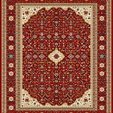 Ultra Soft Area Rug, Non Slip, Stain Resistant, Washable Area Rugs for Living Room, Bedroom, Artful Ornate Symmetrical Border(Red)