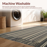 Ultra Soft Area Rug, Non Slip, Stain Resistant, Washable Area Rugs for Living Room, Bedroom, Durable Plastic Reversible Design for Deck and Yard Spaces(Black)