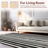 Ultra Soft Area Rug, Non Slip, Stain Resistant, Washable Area Rugs for Living Room, Bedroom, Bold Stripe Symphony: Black & White Geometric Patterned Rug(Black)