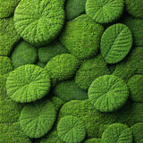Ultra Soft Area Rug, Non Slip, Stain Resistant, Washable Area Rugs for Living Room, Bedroom, 3D Moss Playroom Pet-Friendly Ultra Soft Floor Mat(Green)