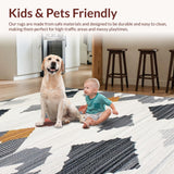 Ultra Soft Area Rug, Non Slip, Stain Resistant, Washable Area Rugs for Living Room, Bedroom, Vibrant Boho Striped Pattern(Gray)