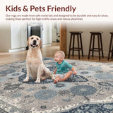 Ultra Soft Area Rug, Non Slip, Stain Resistant, Washable Area Rugs for Living Room, Bedroom, Oriental Style Bedroom Small Rug for Pets(Gray)