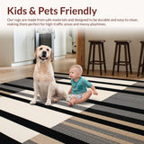 Ultra Soft Area Rug, Non Slip, Stain Resistant, Washable Area Rugs for Living Room, Bedroom, Reversible Patio Area with Minimalist Striped and UV Protection(Black)