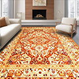 Ultra Soft Area Rug, Non Slip, Stain Resistant, Washable Area Rugs for Living Room, Bedroom, Bohemian Area(Orange)