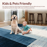 Ultra Soft Area Rug, Non Slip, Stain Resistant, Washable Area Rugs for Living Room, Bedroom, Modern Ombre Stripe Patterned Carpet(Blue)