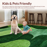 Chic Plush Minimalist Vibe(Green)