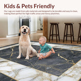 Ultra Soft Area Rug, Non Slip, Stain Resistant, Washable Area Rugs for Living Room, Bedroom, Contemporary Abstract Gold Patterning(Gray)