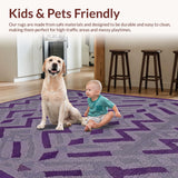 Ultra Soft Area Rug, Non Slip, Stain Resistant, Washable Area Rugs for Living Room, Bedroom, Funky Modern Lattice Arrangement(Purple)