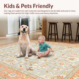 Ultra Soft Area Rug, Non Slip, Stain Resistant, Washable Area Rugs for Living Room, Bedroom, Elegant Creamy Rustic Blooms(Ivory)