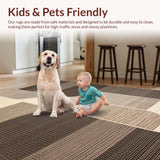 Ultra Soft Area Rug, Non Slip, Stain Resistant, Washable Area Rugs for Living Room, Bedroom, Chic Western Patterned Accent(Gray)