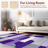 Ultra Soft Area Rug, Non Slip, Stain Resistant, Washable Area Rugs for Living Room, Bedroom, Luxurious Textured Linear Elements(Purple)